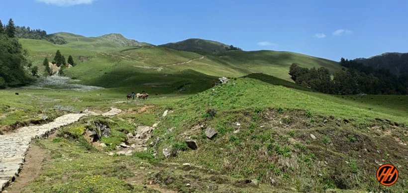Dayara Bugyal & Dodital Trek Best time to Visit
