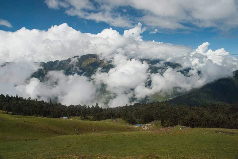 ali bedni bugyal