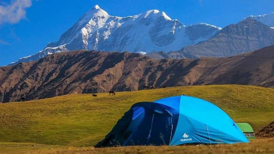 ali bedni bugyal