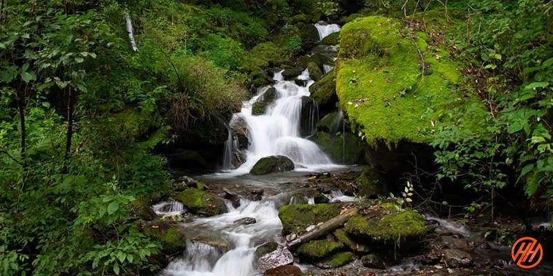Gidara Bugyal Trek