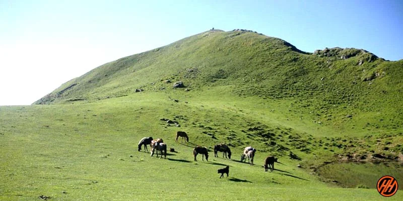 Panwali Kantha Trek Best time to Visit