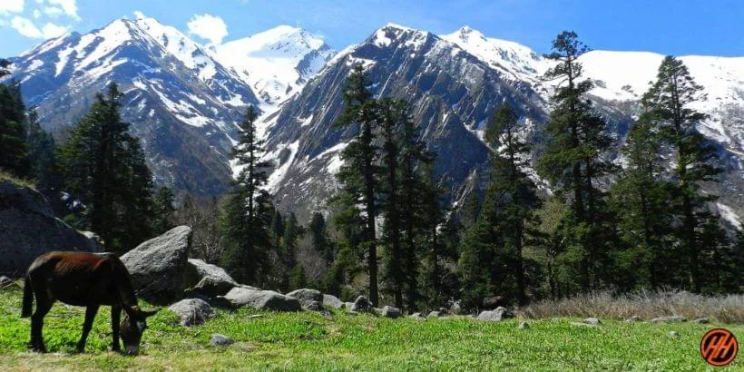 Devkyara Har Ki Dun Trek