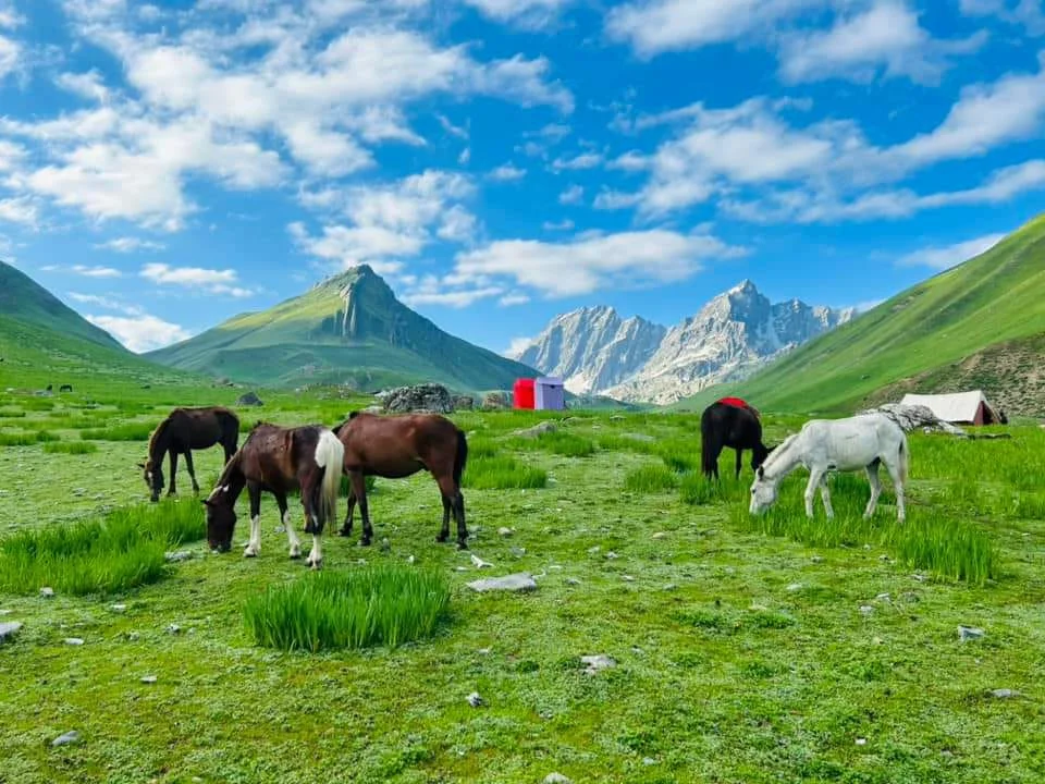 Warwan Valley Trek