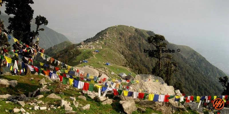 Triund Trek