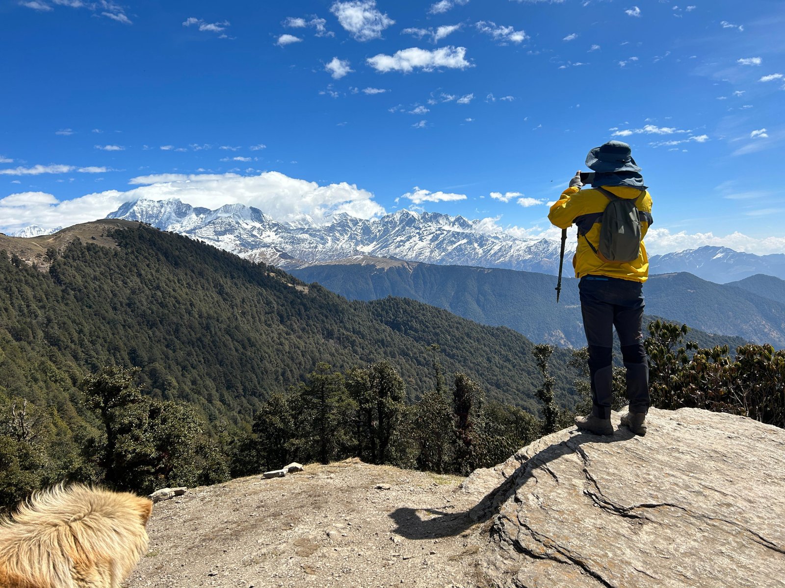 Chopta Chandrashila Trek Best time to Visit