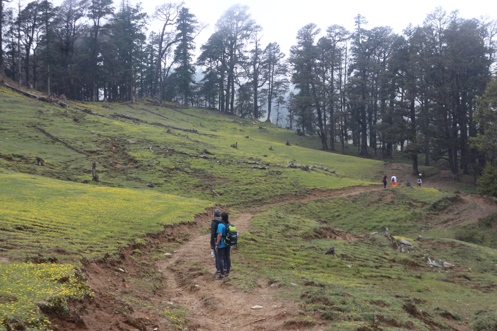 Phulara Ridge Trek Best time to Visit